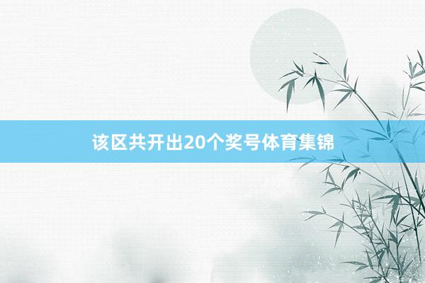 该区共开出20个奖号体育集锦
