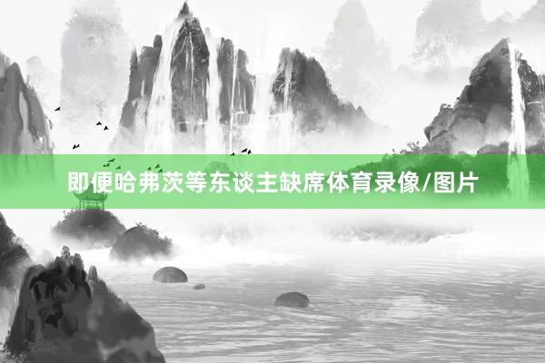 即便哈弗茨等东谈主缺席体育录像/图片