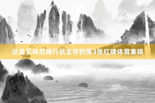 这是贝林厄姆行状生存的第3张红牌体育集锦