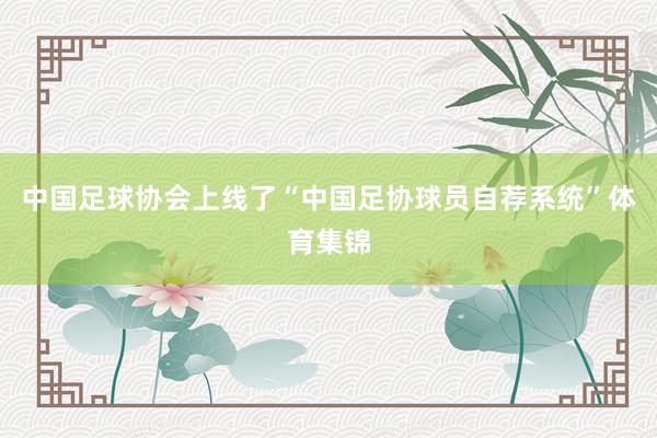 中国足球协会上线了“中国足协球员自荐系统”体育集锦