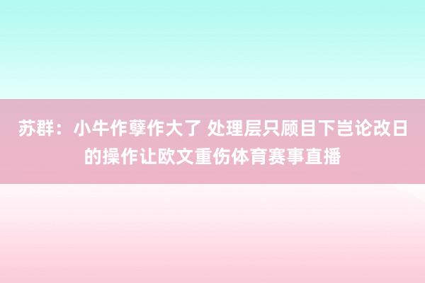 苏群：小牛作孽作大了 处理层只顾目下岂论改日的操作让欧文重伤体育赛事直播