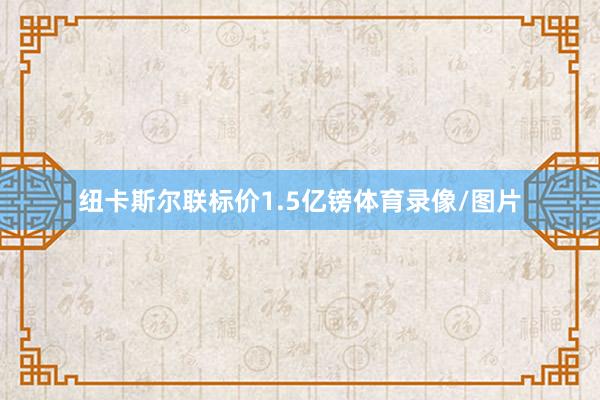 纽卡斯尔联标价1.5亿镑体育录像/图片