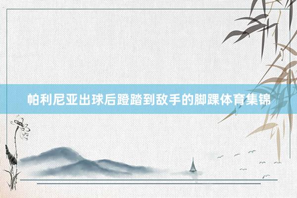帕利尼亚出球后蹬踏到敌手的脚踝体育集锦