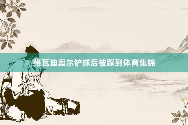 格瓦迪奥尔铲球后被踩到体育集锦