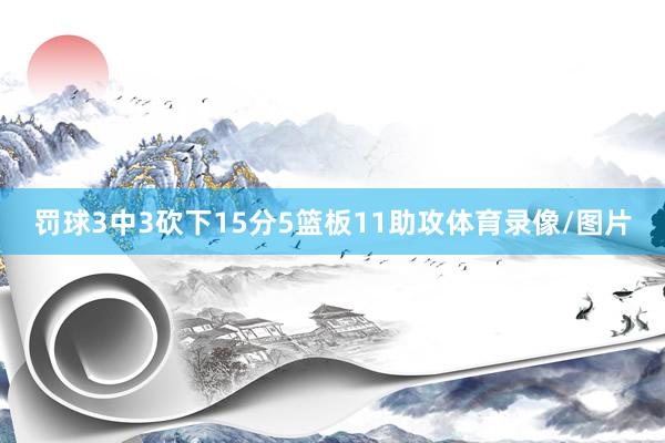罚球3中3砍下15分5篮板11助攻体育录像/图片