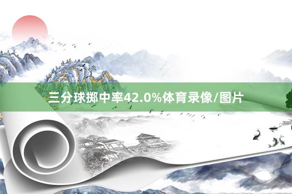 三分球掷中率42.0%体育录像/图片