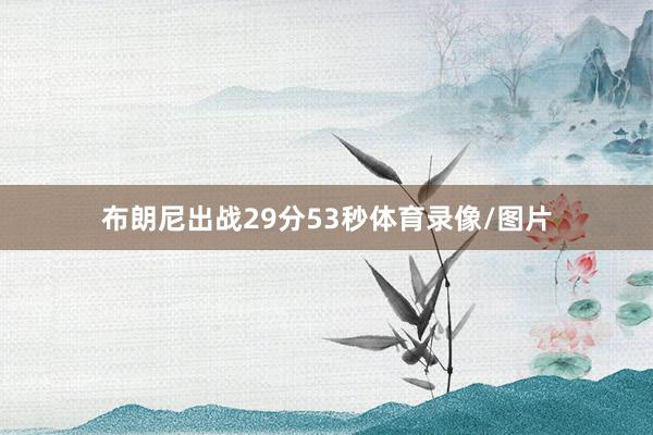 布朗尼出战29分53秒体育录像/图片
