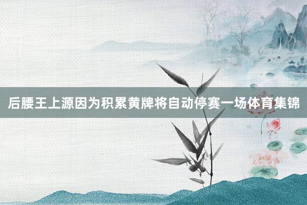 后腰王上源因为积累黄牌将自动停赛一场体育集锦