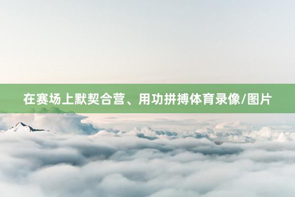 在赛场上默契合营、用功拼搏体育录像/图片