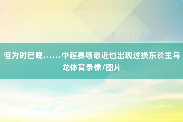 但为时已晚……中超赛场最近也出现过换东谈主乌龙体育录像/图片