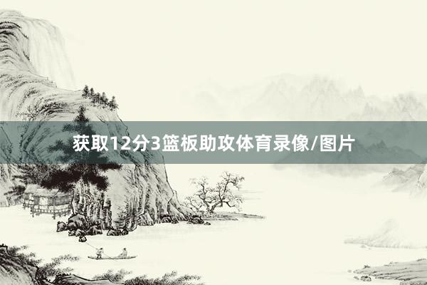 获取12分3篮板助攻体育录像/图片