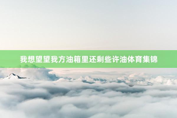 我想望望我方油箱里还剩些许油体育集锦