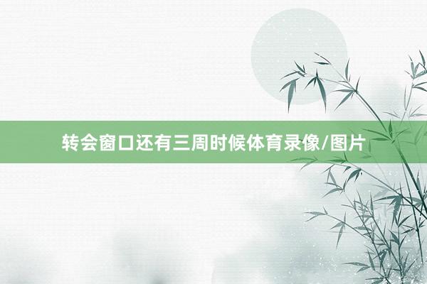 转会窗口还有三周时候体育录像/图片