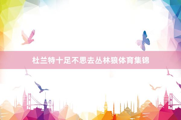 杜兰特十足不思去丛林狼体育集锦