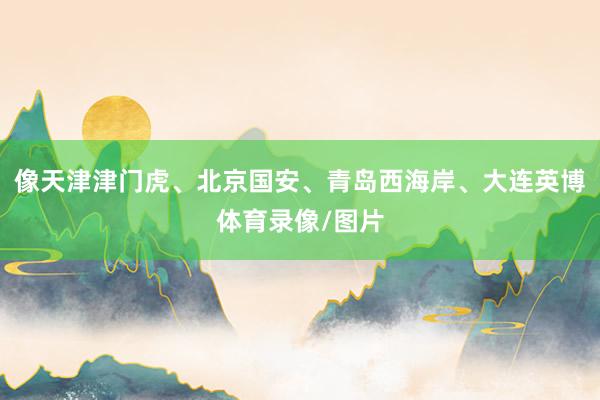 像天津津门虎、北京国安、青岛西海岸、大连英博体育录像/图片