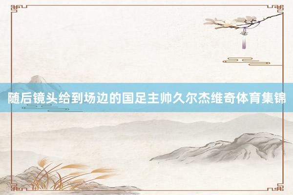 随后镜头给到场边的国足主帅久尔杰维奇体育集锦