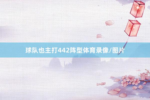球队也主打442阵型体育录像/图片