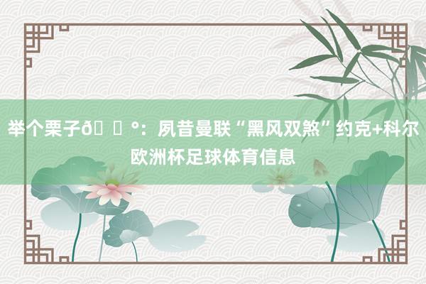 举个栗子🌰：夙昔曼联“黑风双煞”约克+科尔欧洲杯足球体育信息