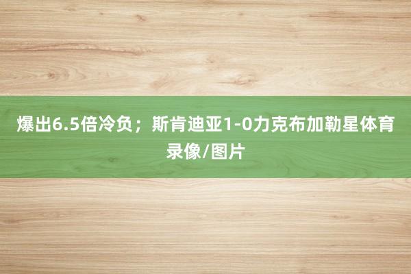 爆出6.5倍冷负；斯肯迪亚1-0力克布加勒星体育录像/图片