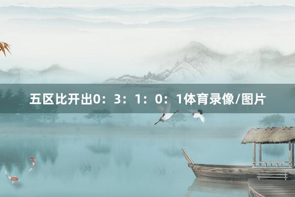 五区比开出0：3：1：0：1体育录像/图片