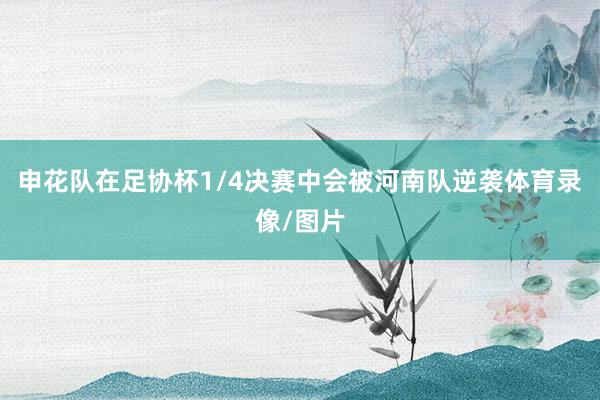 申花队在足协杯1/4决赛中会被河南队逆袭体育录像/图片