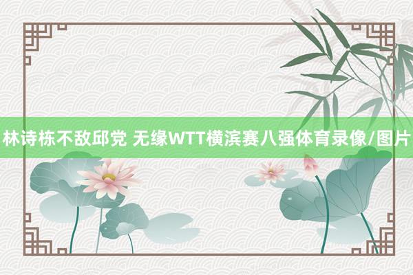 林诗栋不敌邱党 无缘WTT横滨赛八强体育录像/图片