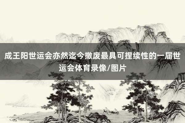 成王阳世运会亦然迄今撤废最具可捏续性的一届世运会体育录像/图片