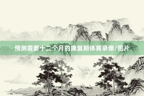 预测需要十二个月的康复期体育录像/图片