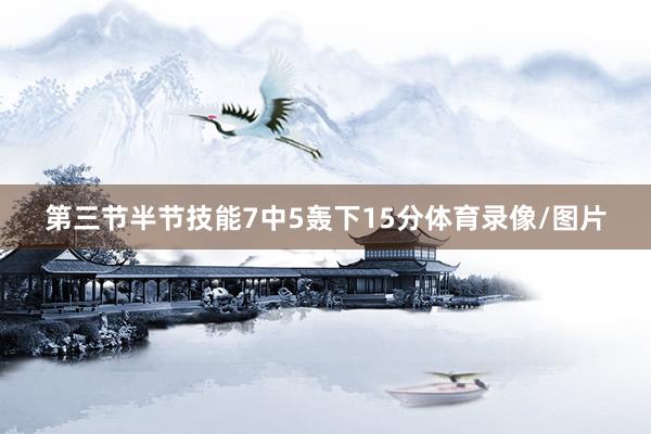 第三节半节技能7中5轰下15分体育录像/图片