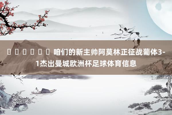 ⚽️⚽️⚽️咱们的新主帅阿莫林正征战葡体3-1杰出曼城欧洲杯足球体育信息