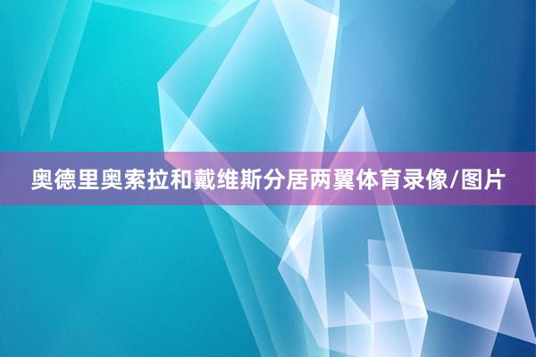奥德里奥索拉和戴维斯分居两翼体育录像/图片