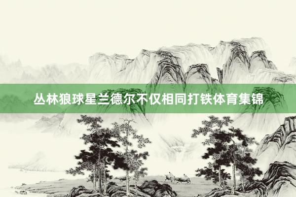 丛林狼球星兰德尔不仅相同打铁体育集锦