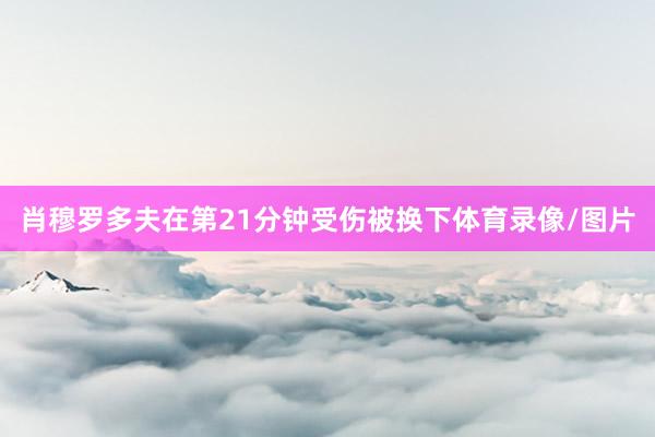 肖穆罗多夫在第21分钟受伤被换下体育录像/图片