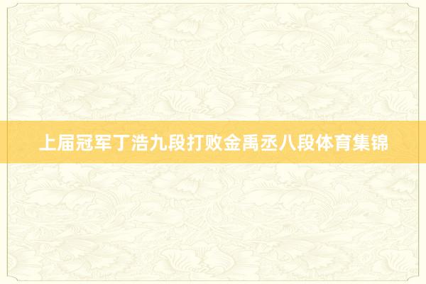 上届冠军丁浩九段打败金禹丞八段体育集锦