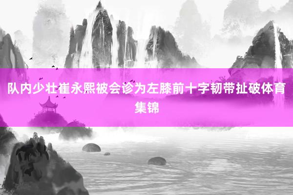 队内少壮崔永熙被会诊为左膝前十字韧带扯破体育集锦