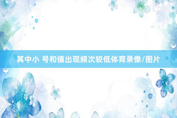 其中小 号和值出现频次较低体育录像/图片