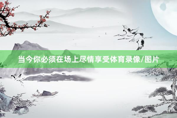 当今你必须在场上尽情享受体育录像/图片