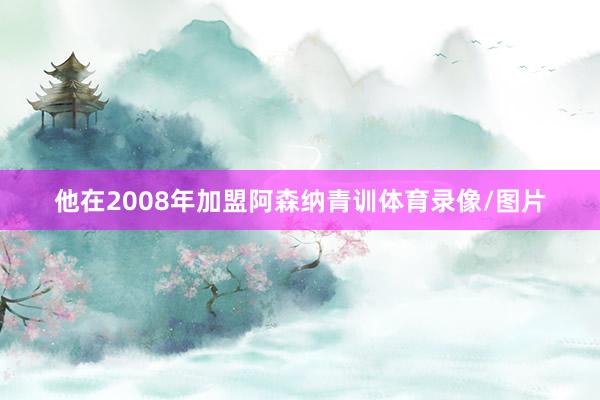 他在2008年加盟阿森纳青训体育录像/图片