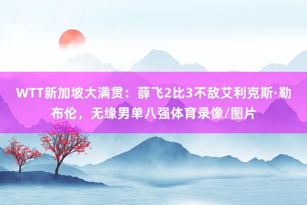 WTT新加坡大满贯：薛飞2比3不敌艾利克斯·勒布伦，无缘男单八强体育录像/图片