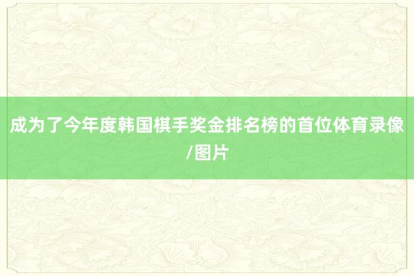 成为了今年度韩国棋手奖金排名榜的首位体育录像/图片