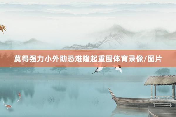 莫得强力小外助恐难隆起重围体育录像/图片