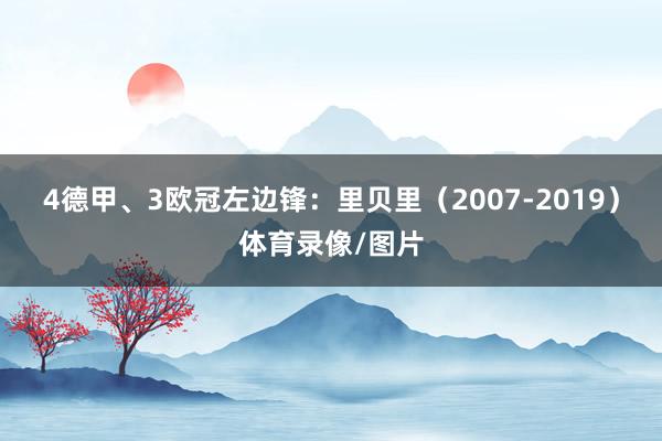 4德甲、3欧冠左边锋：里贝里（2007-2019）体育录像/图片