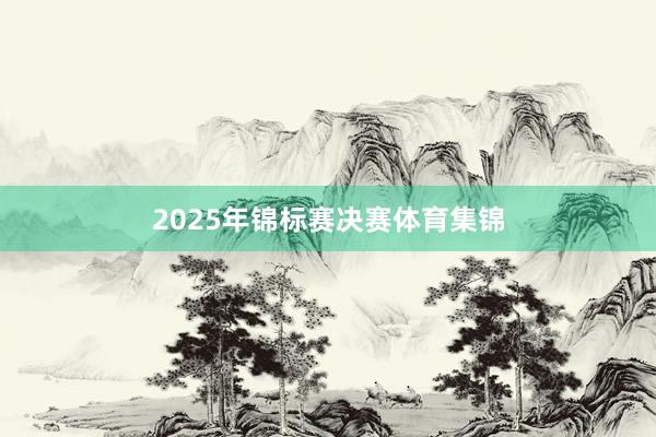 2025年锦标赛决赛体育集锦