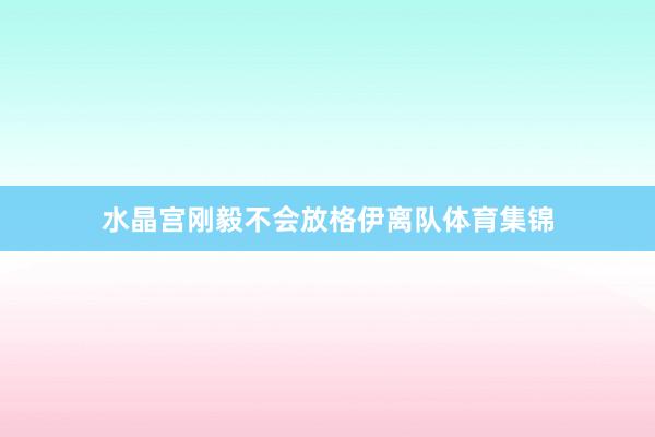 水晶宫刚毅不会放格伊离队体育集锦