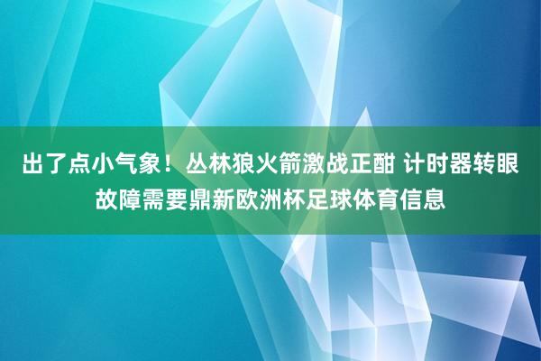 出了点小气象！丛林狼火箭激战正酣 计时器转眼故障需要鼎新欧洲杯足球体育信息