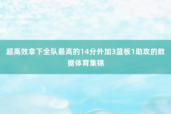 超高效拿下全队最高的14分外加3篮板1助攻的数据体育集锦