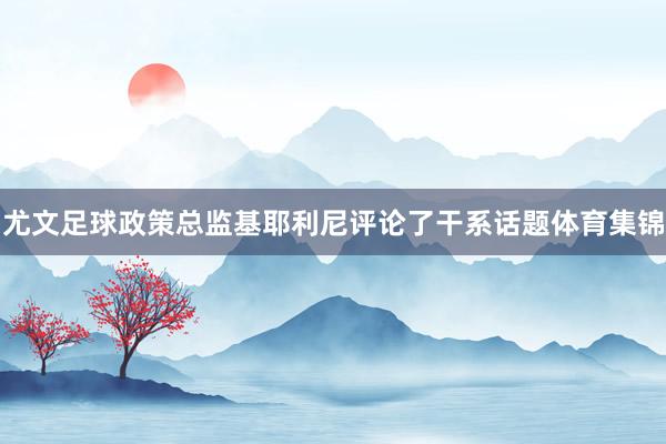 尤文足球政策总监基耶利尼评论了干系话题体育集锦